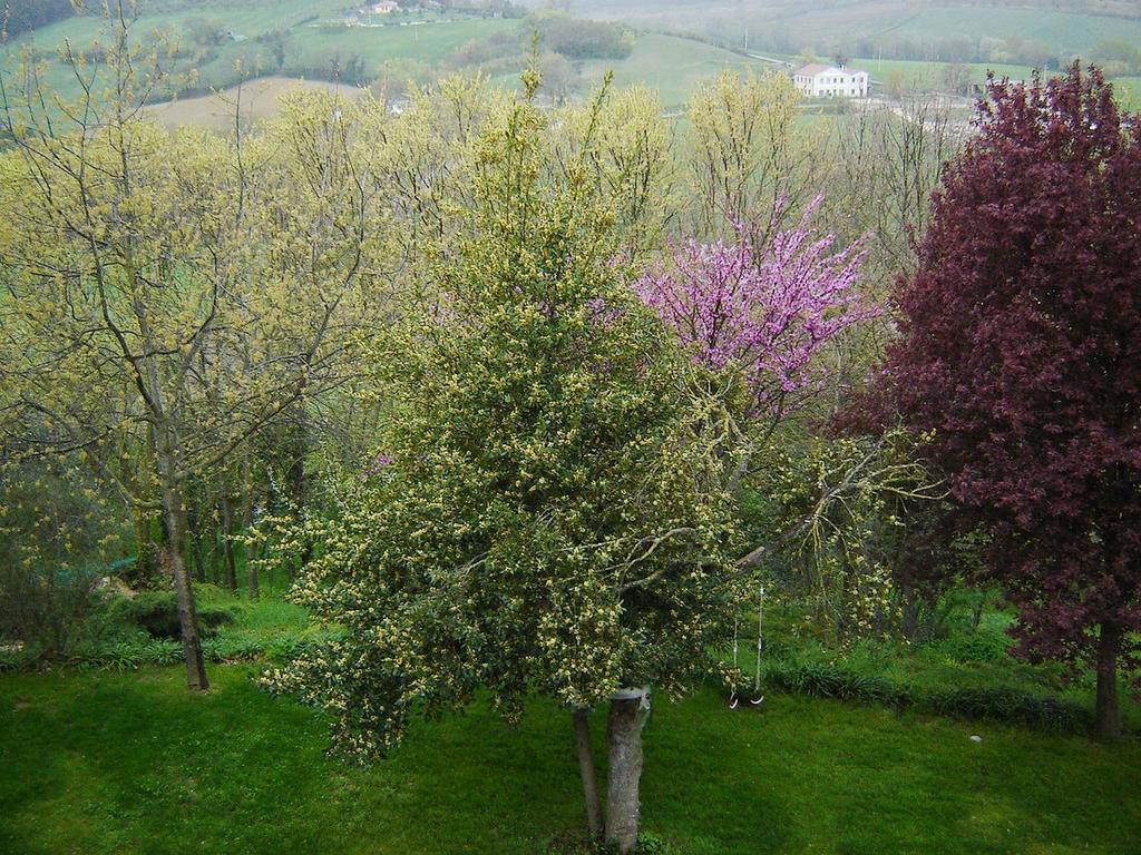 Casale del Monsignore Spoleto Esterno foto